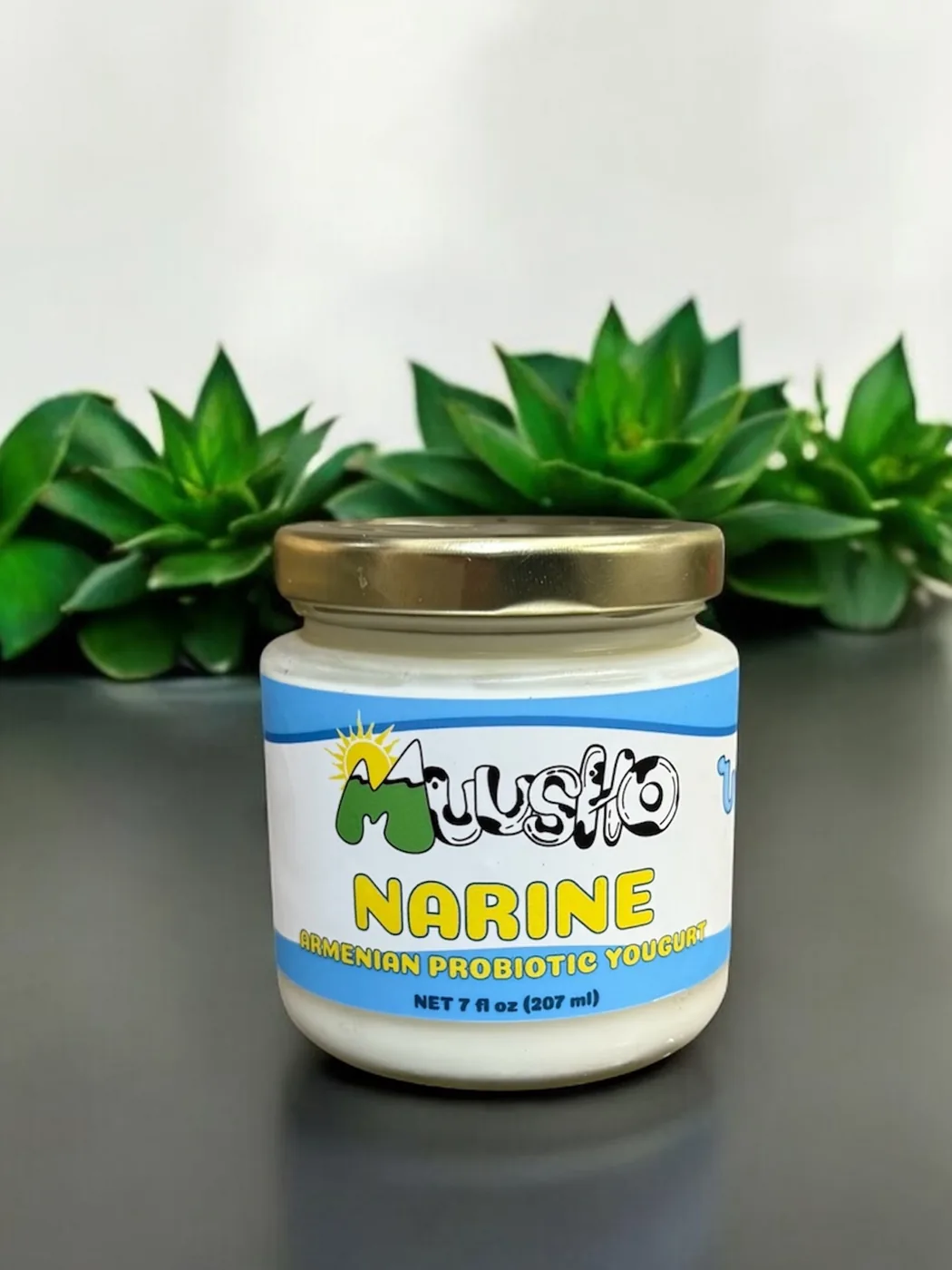 A jar of Muusho Narine Armenian probiotic yogurt in front of green succulents