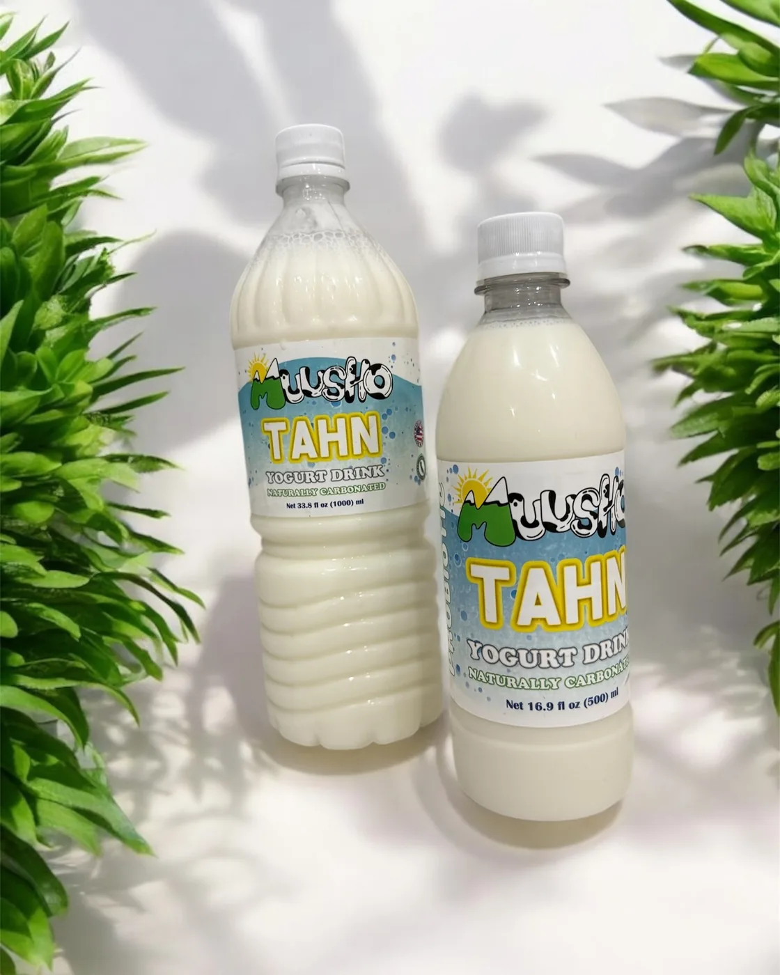 Two bottles of Muusho naturally carbonated Tahn between green ferns